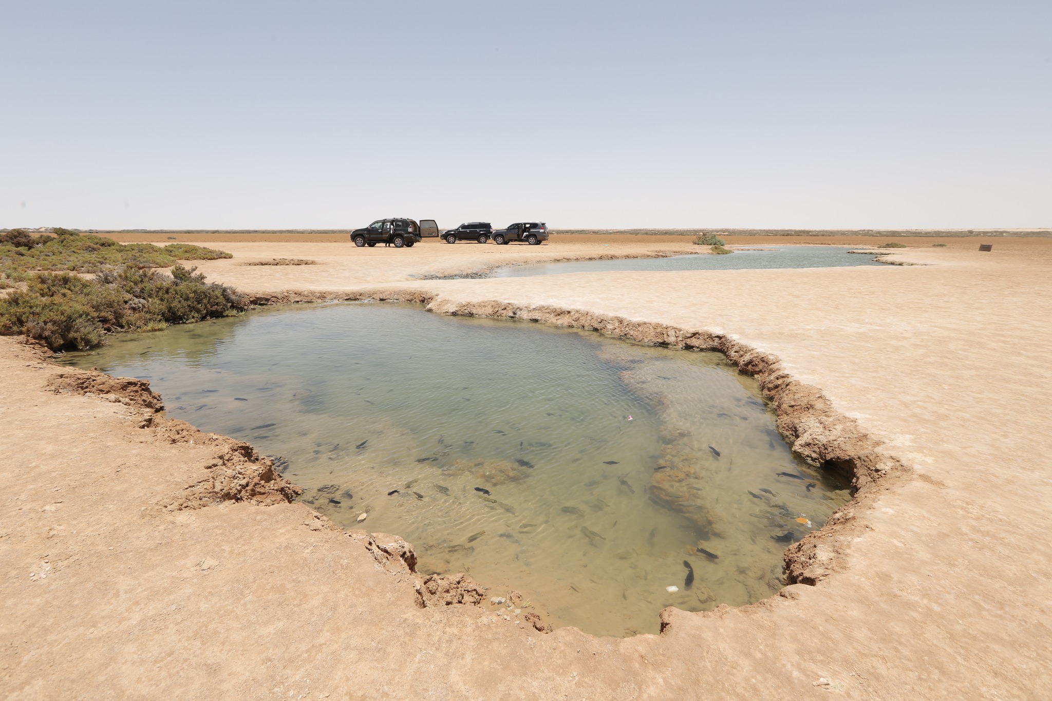 Dakhla Boutique Hotel